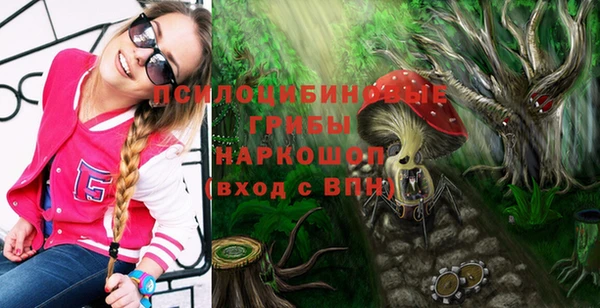 винт Аркадак