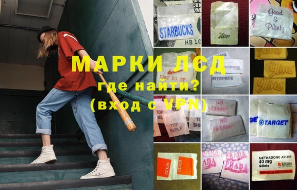 винт Аркадак