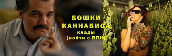 амф Арсеньев