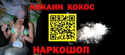 шишки Обь