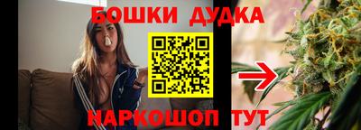 шишки Обь