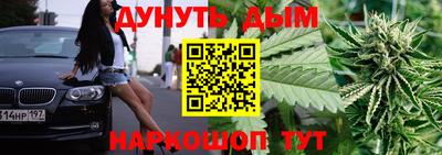 шишки Обь