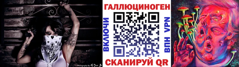 Галлюциногенные грибы Psilocybine cubensis  Георгиевск 