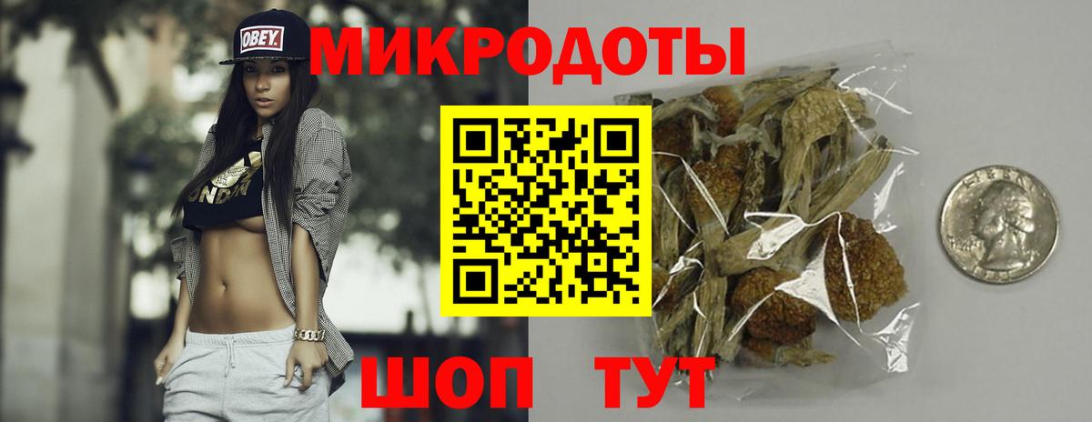 Псилоцибиновые грибы Psilocybe Георгиевск
