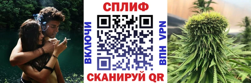 Марихуана VHQ  продажа наркотиков  Георгиевск 